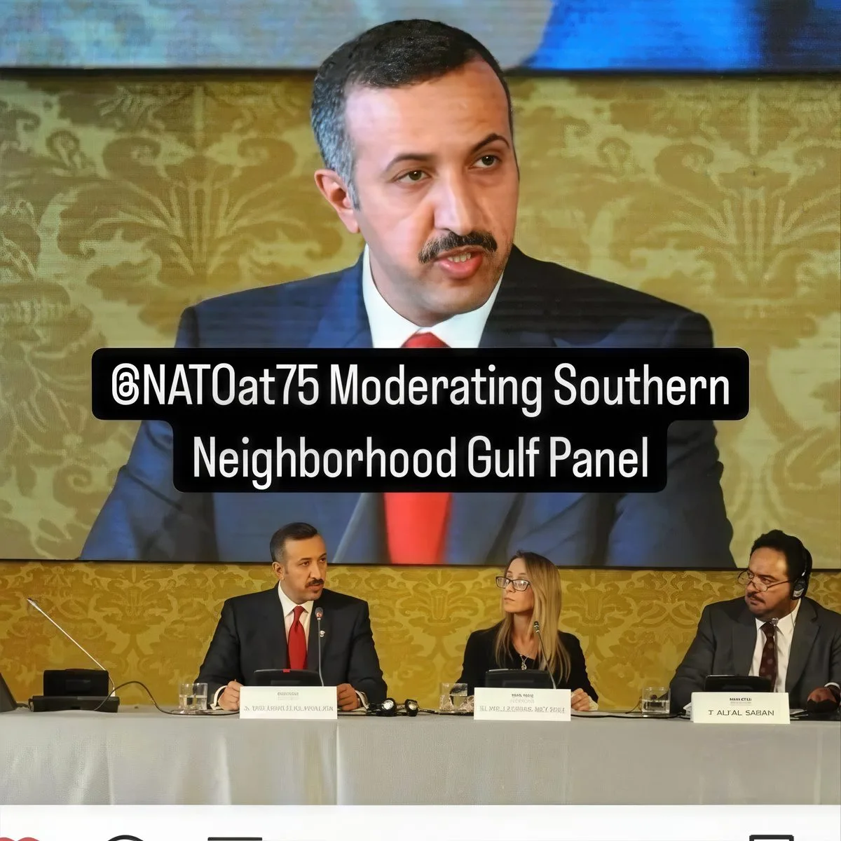 Gaja - NATO Panel